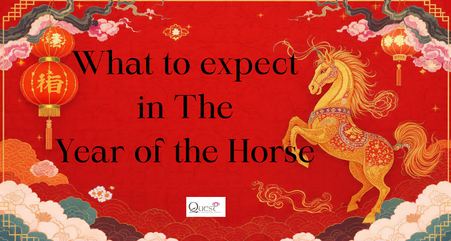 What to Expect in the Year of the Horse