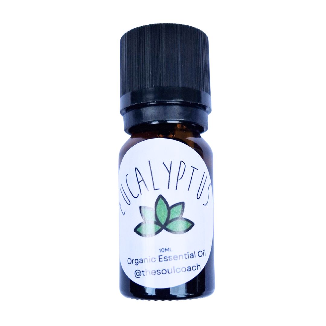 Eucalyptus Organic Essential Oil - 10ml image 0