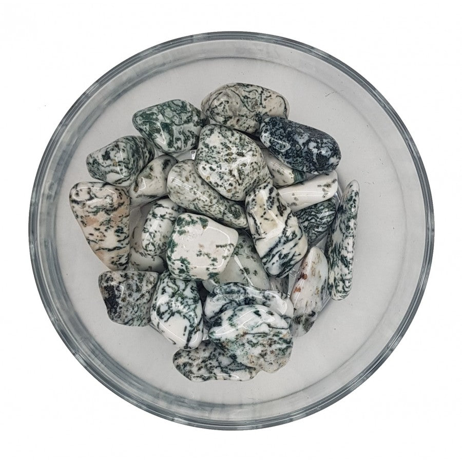 Tree Agate Tumblestone image 0