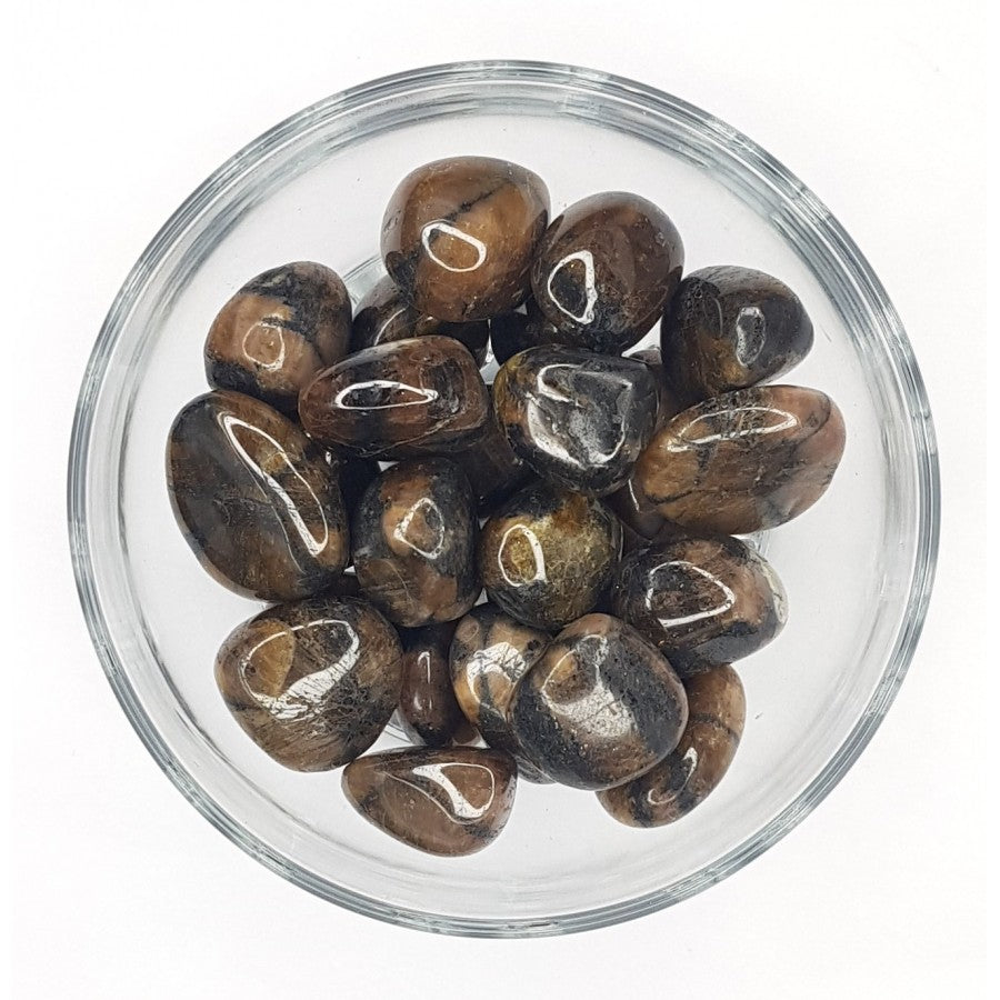 Chiasolite Tumblestone image 0