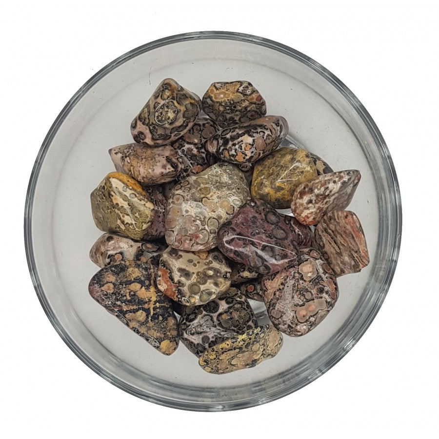 Leopard Skin Jasper image 0