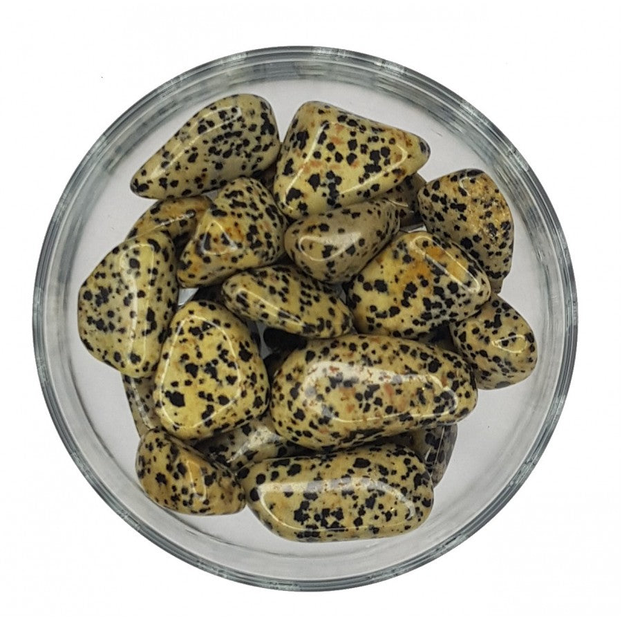 Dalmatian Jasper Tumblestone image 0